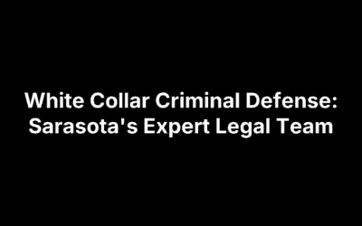White Collar Criminal Defense